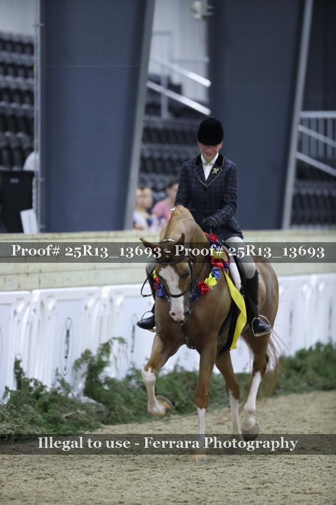Proof Number 25R13_13693