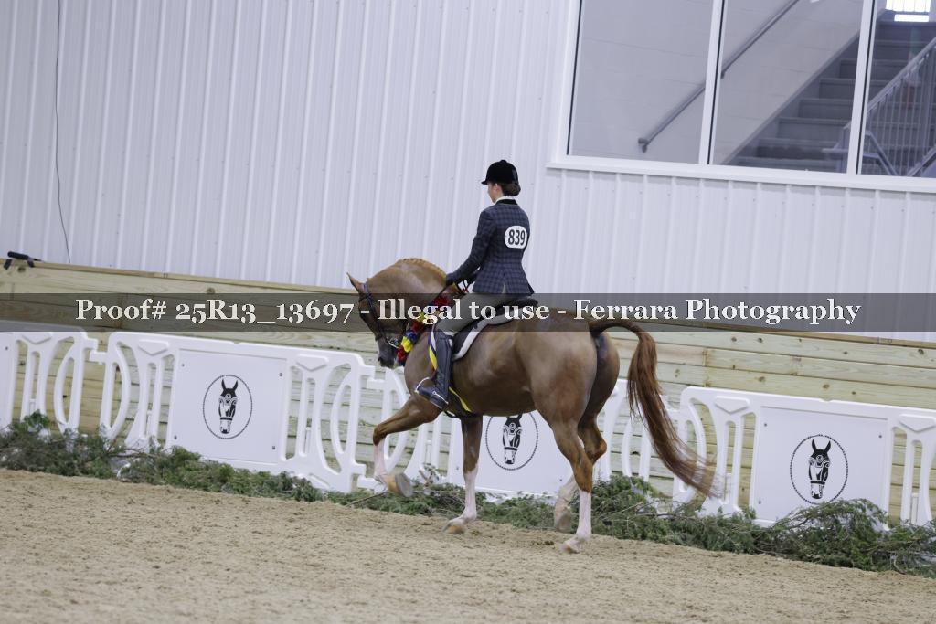 Proof Number 25R13_13697