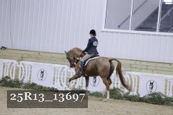 25R13_13697 thumbnail