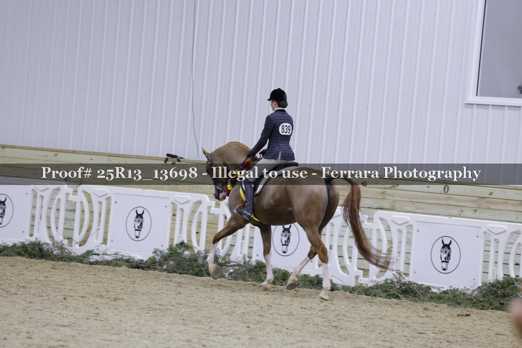 Proof Number 25R13_13698