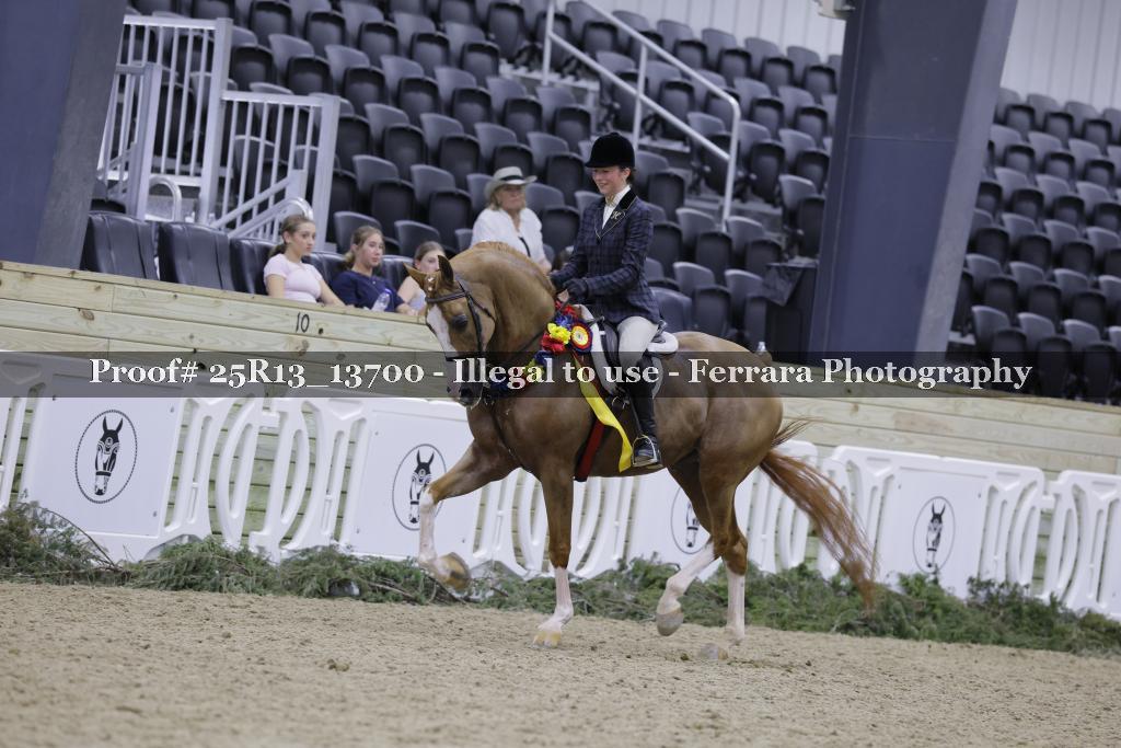 Proof Number 25R13_13700
