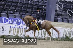 25R13_13703 thumbnail