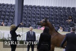 25R13_13716 thumbnail