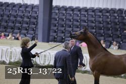 25R13_13722 thumbnail