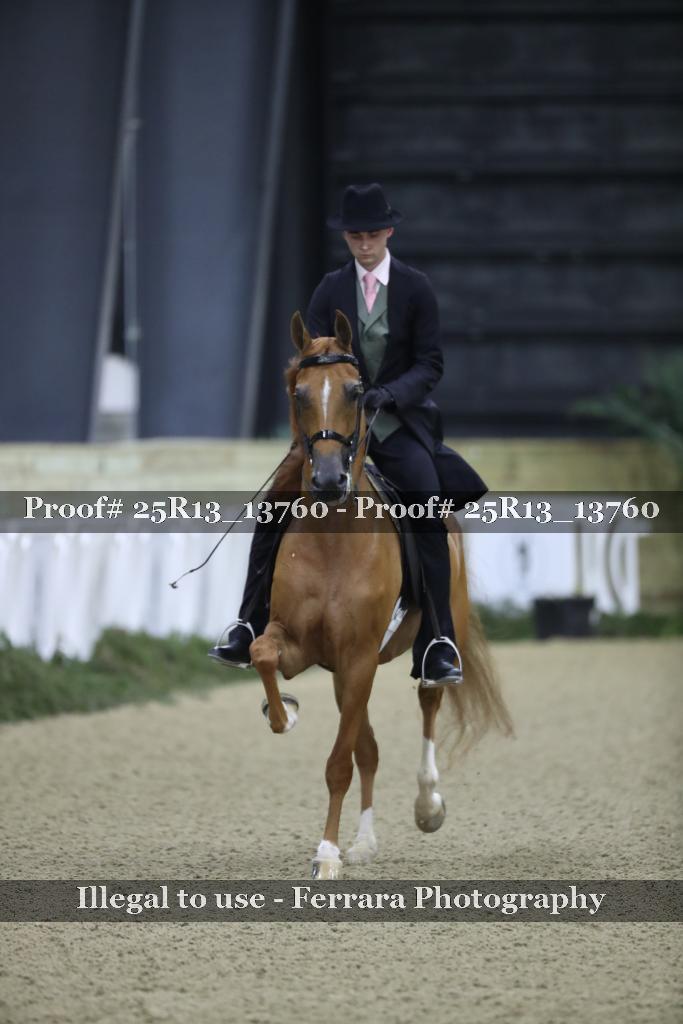 Proof Number 25R13_13760