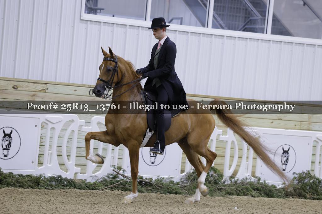 Proof Number 25R13_13761