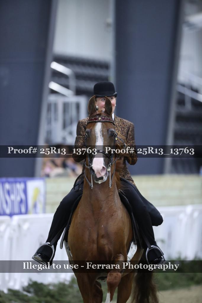 Proof Number 25R13_13763