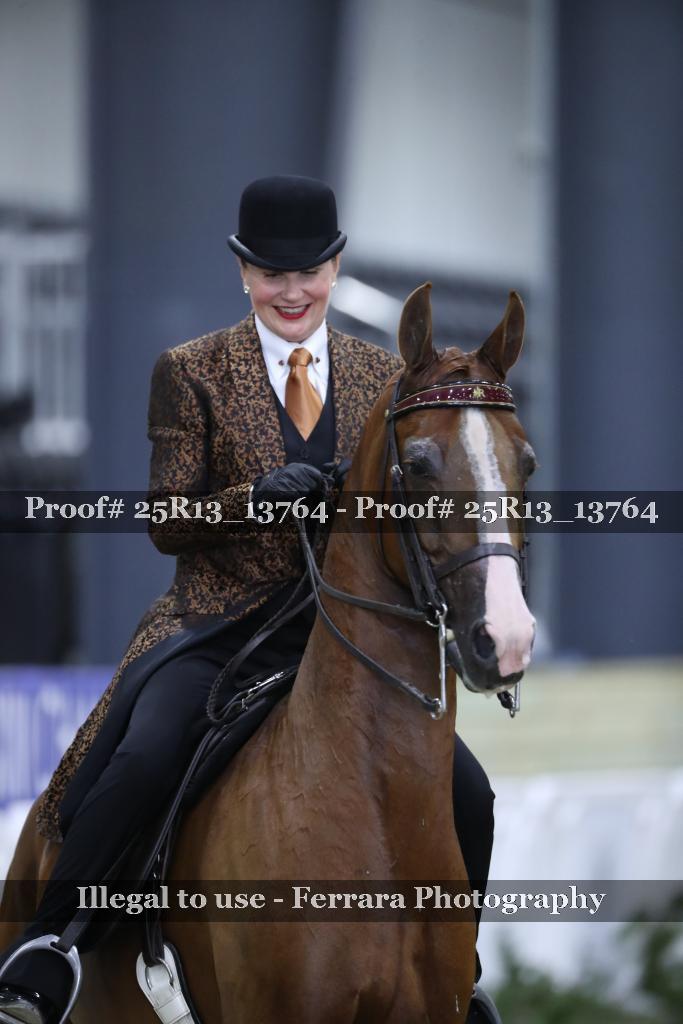 Proof Number 25R13_13764