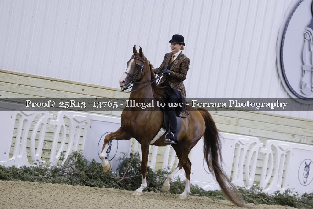 Proof Number 25R13_13765