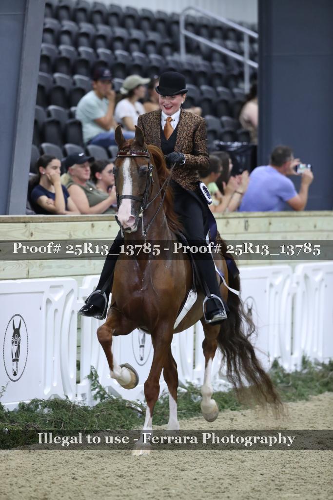 Proof Number 25R13_13785