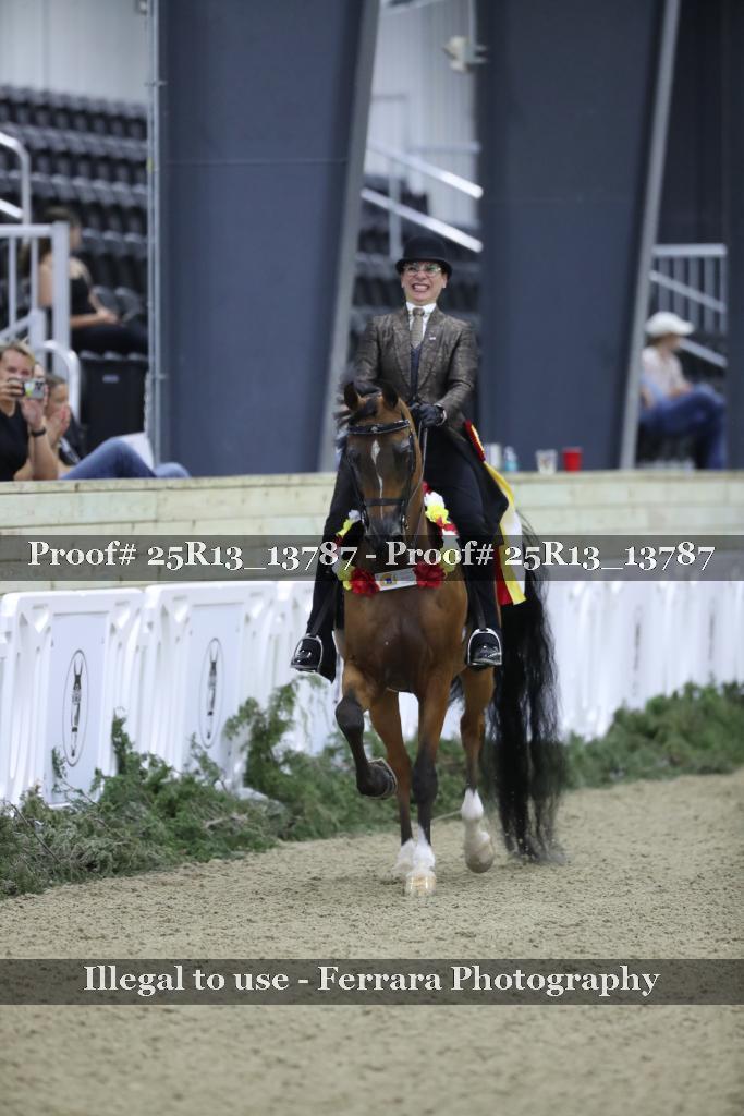 Proof Number 25R13_13787