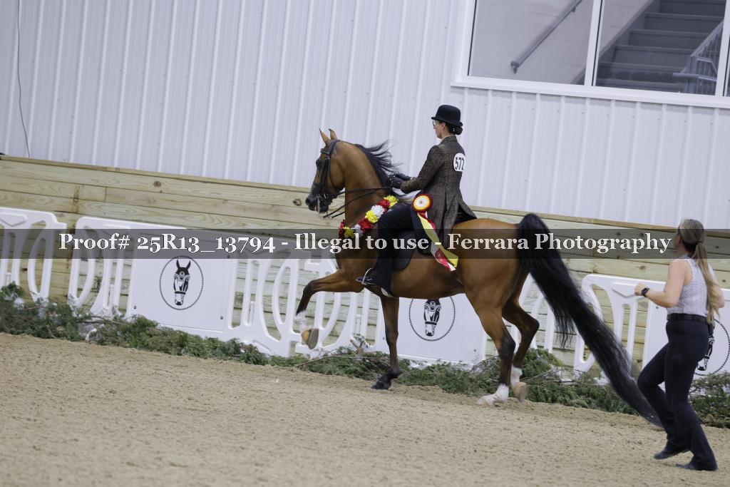 Proof Number 25R13_13794