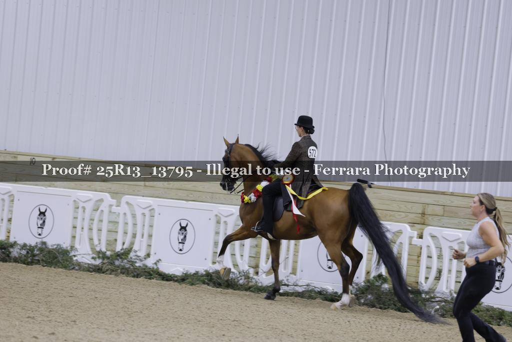 Proof Number 25R13_13795