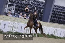 25R13_13801 thumbnail