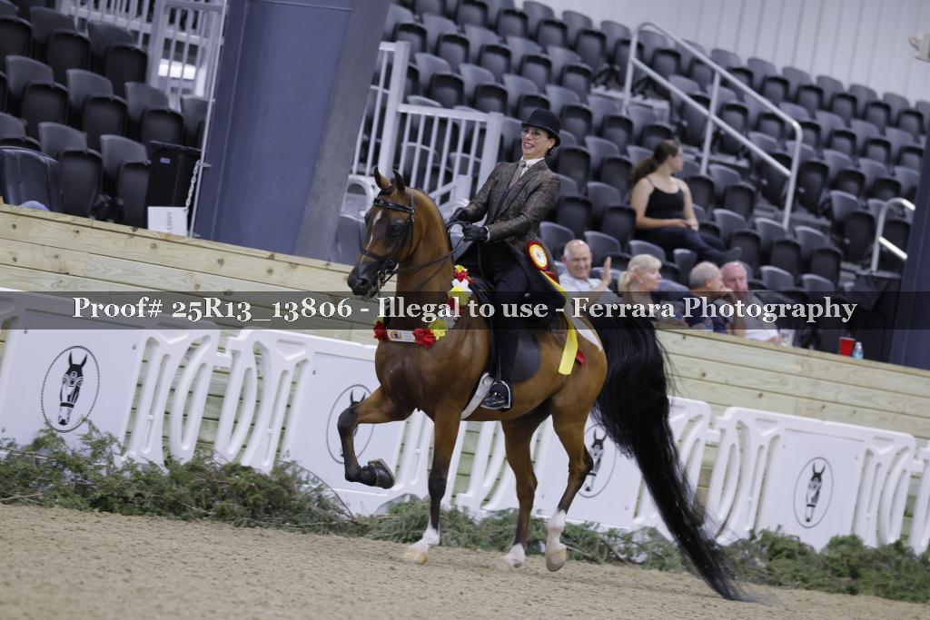 Proof Number 25R13_13806