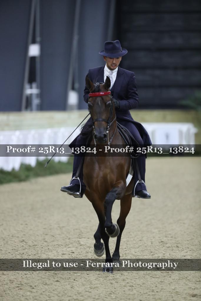 Proof Number 25R13_13824