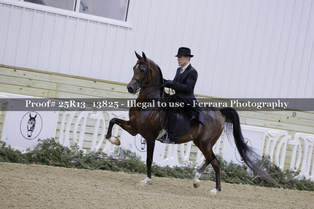 Proof Number 25R13_13825