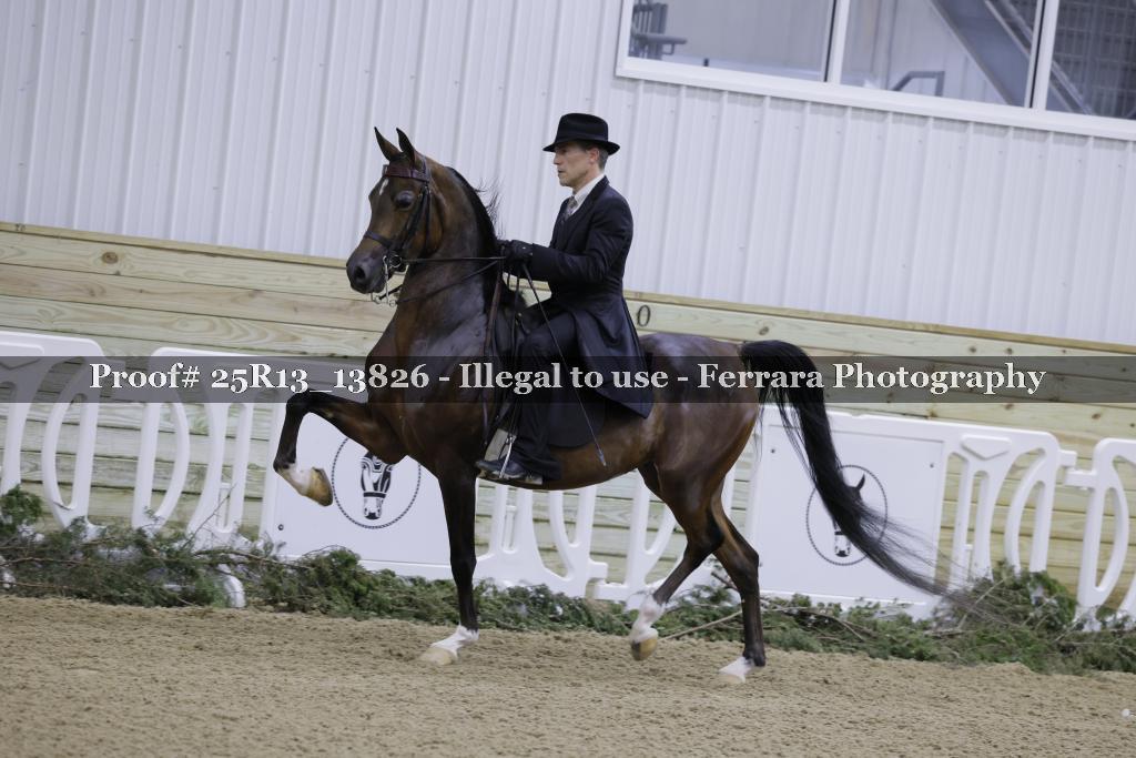 Proof Number 25R13_13826