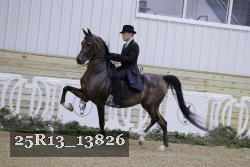 25R13_13826 thumbnail