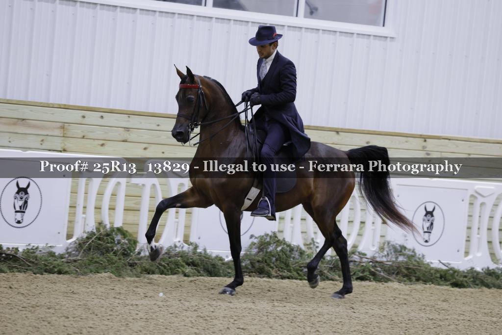 Proof Number 25R13_13829