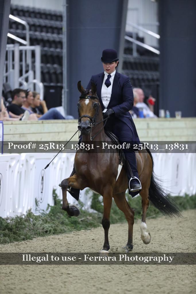 Proof Number 25R13_13831