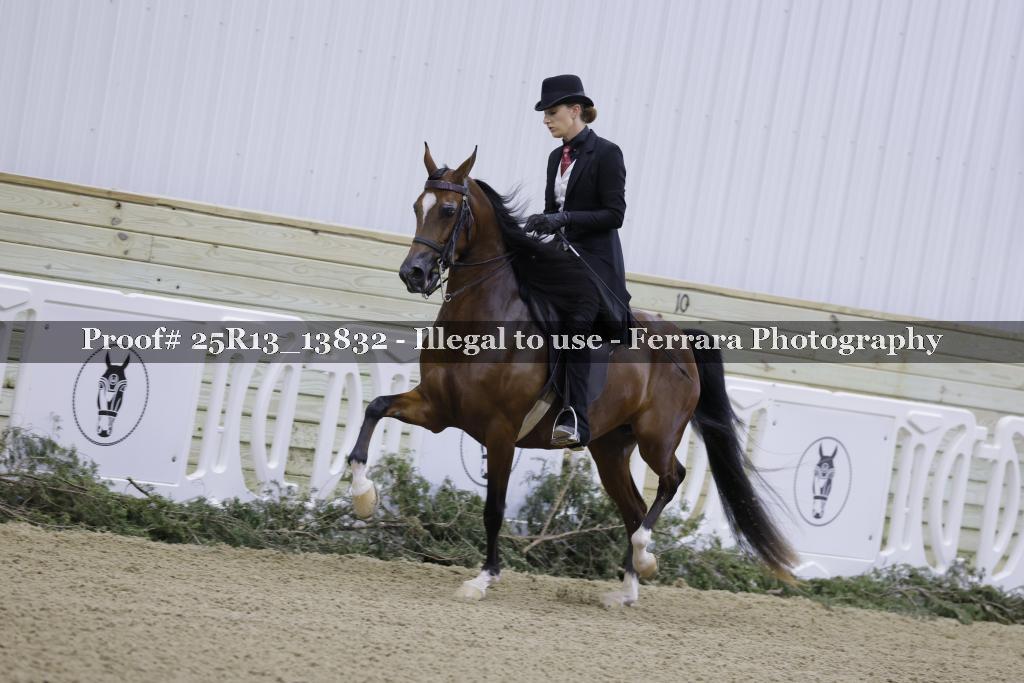 Proof Number 25R13_13832