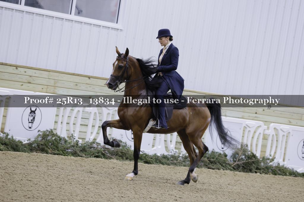 Proof Number 25R13_13834