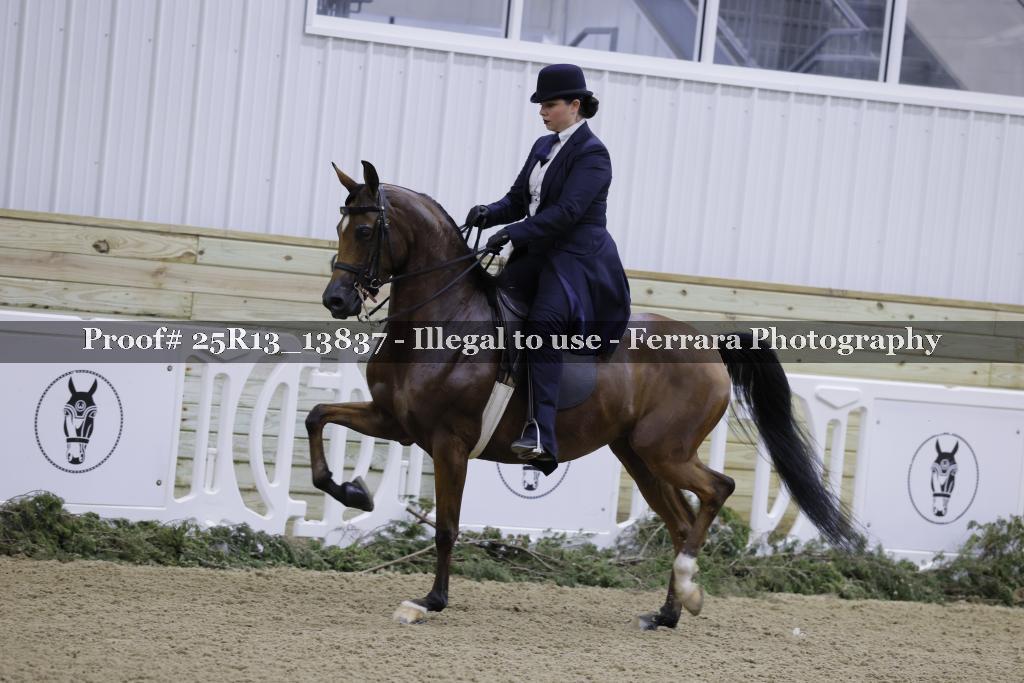 Proof Number 25R13_13837