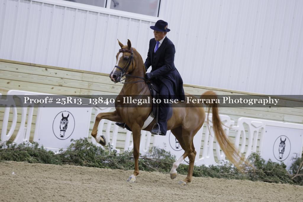 Proof Number 25R13_13840