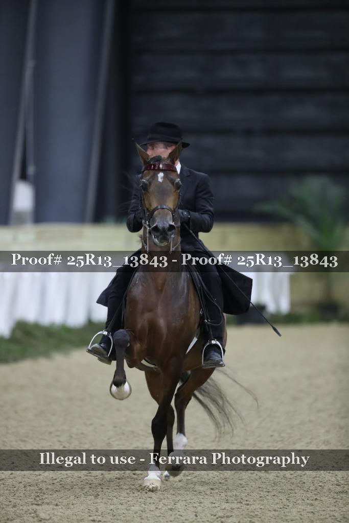 Proof Number 25R13_13843
