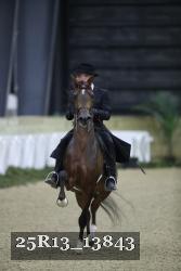 25R13_13843 thumbnail