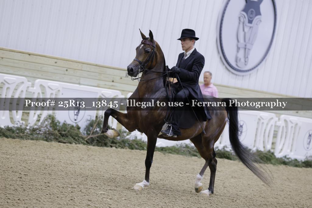 Proof Number 25R13_13845