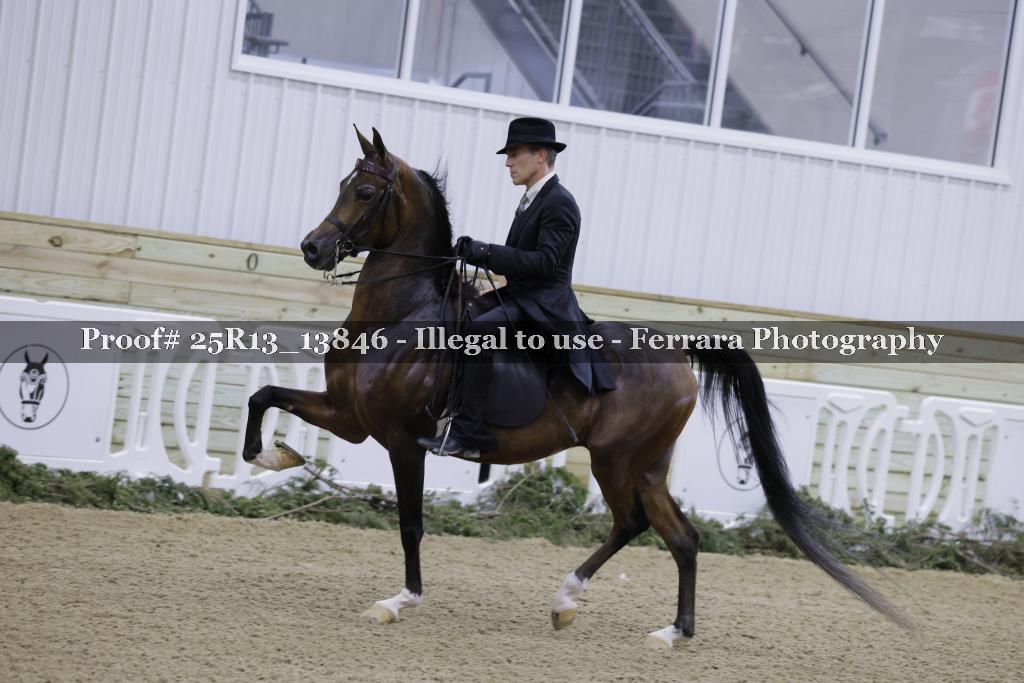 Proof Number 25R13_13846