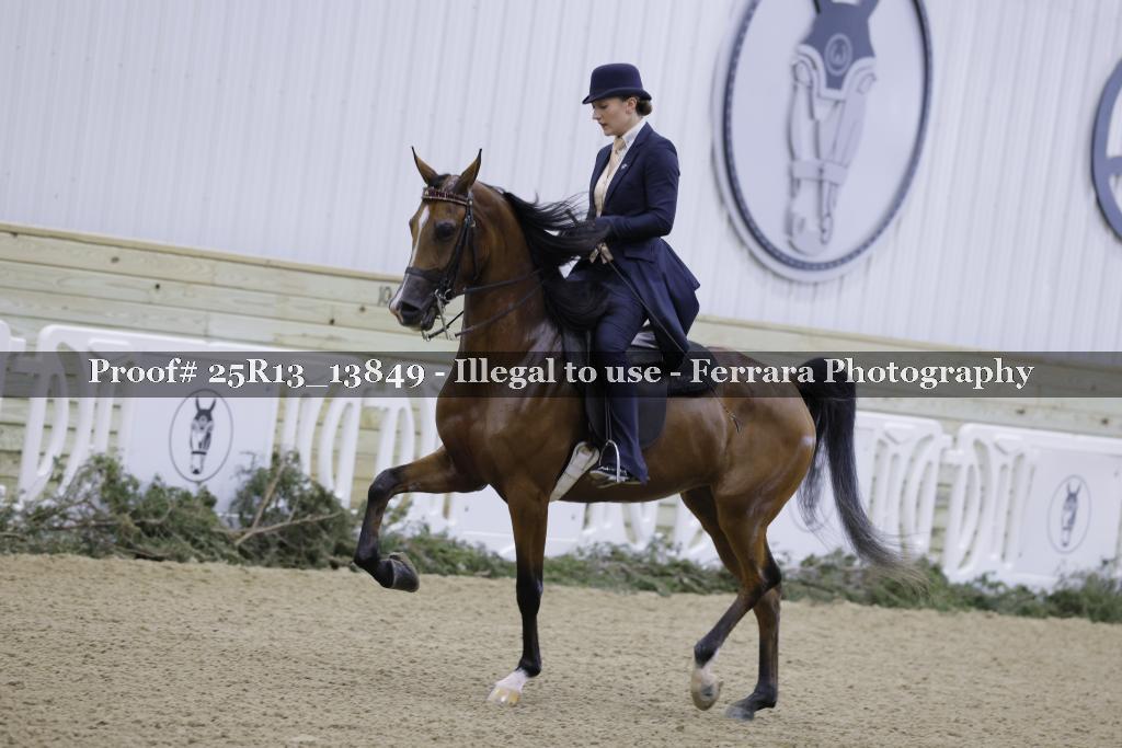 Proof Number 25R13_13849