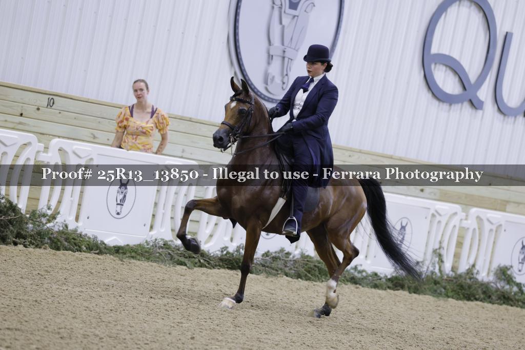 Proof Number 25R13_13850