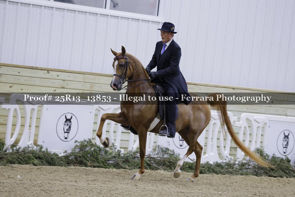 Proof Number 25R13_13853