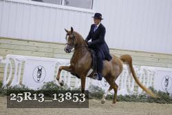 25R13_13853 thumbnail