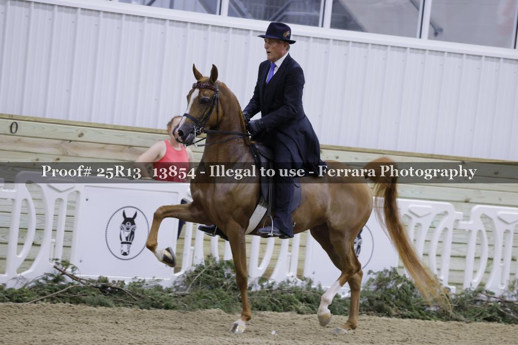 Proof Number 25R13_13854