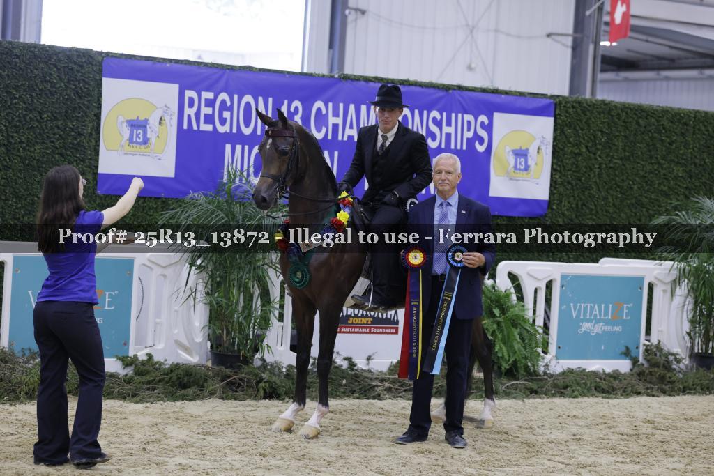 Proof Number 25R13_13872