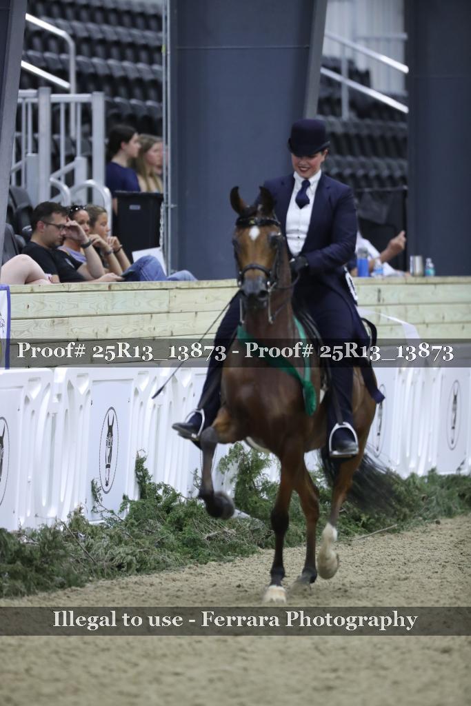 Proof Number 25R13_13873
