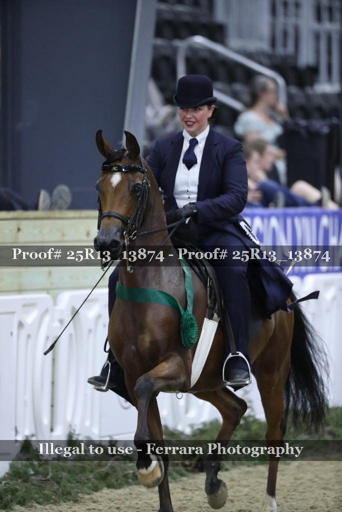 Proof Number 25R13_13874