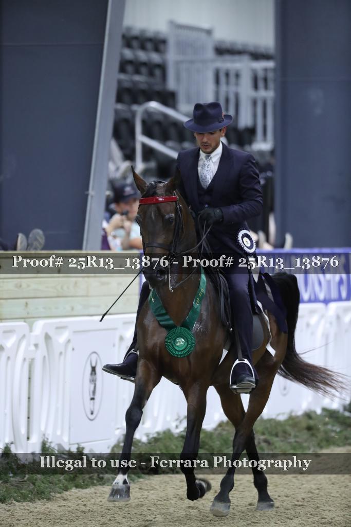 Proof Number 25R13_13876
