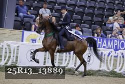 25R13_13889 thumbnail