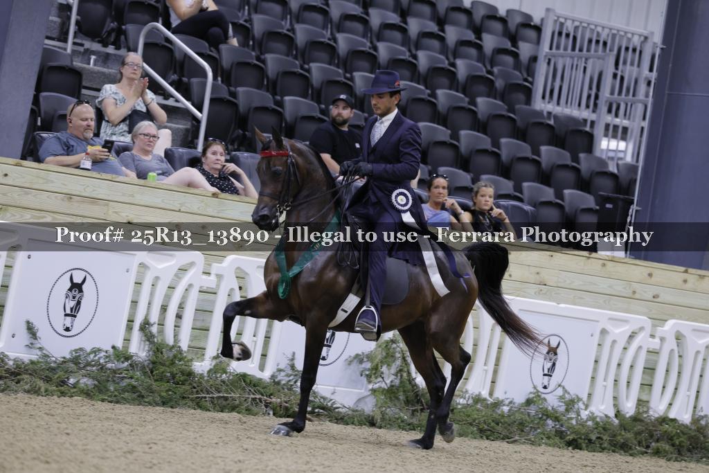 Proof Number 25R13_13890