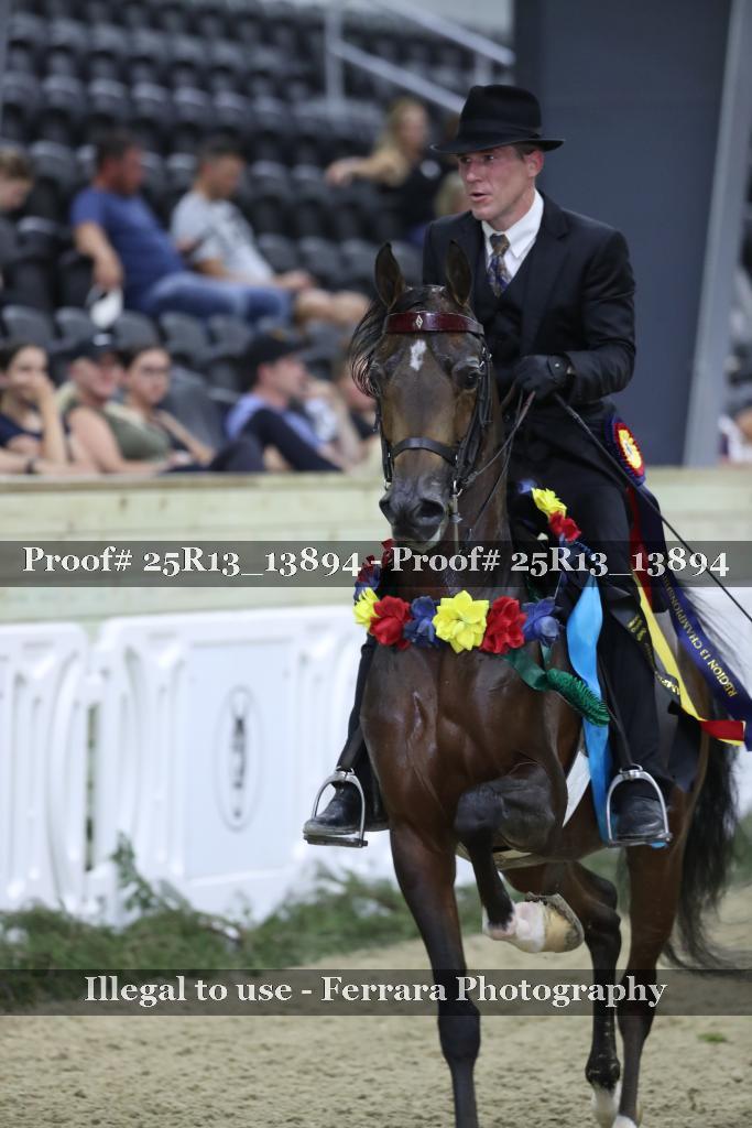 Proof Number 25R13_13894