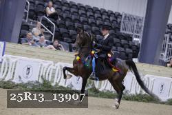 25R13_13907 thumbnail