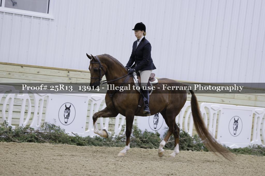 Proof Number 25R13_13914
