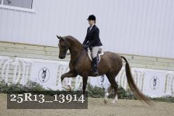 25R13_13914 thumbnail