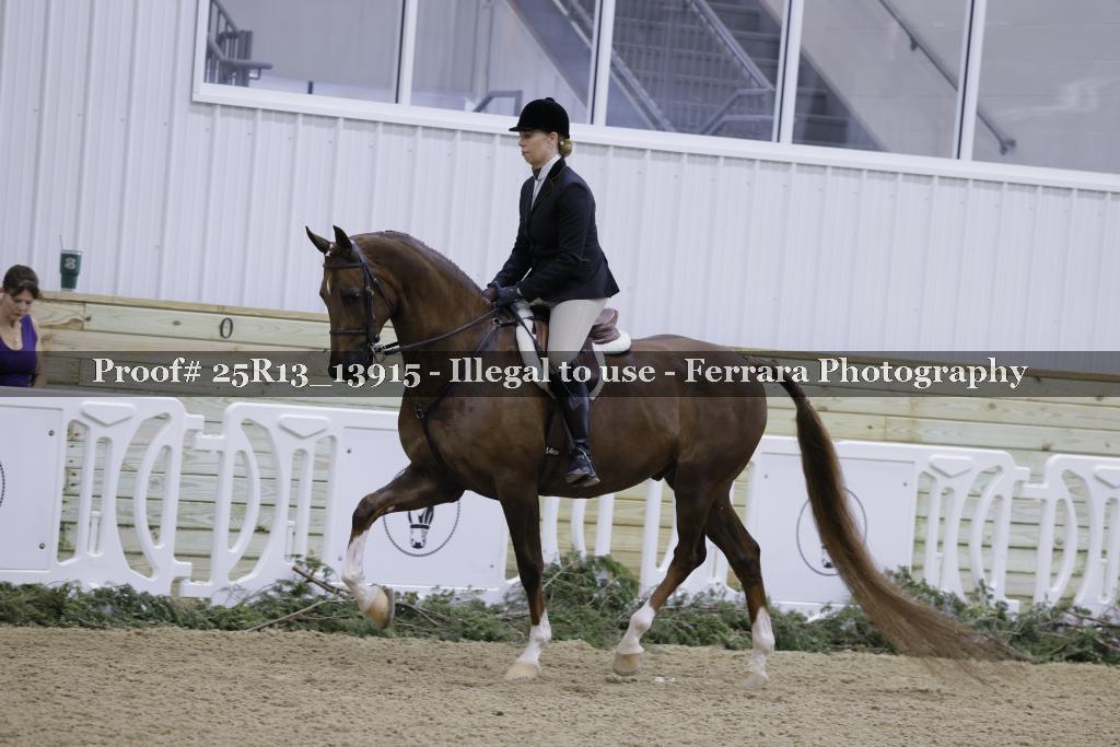 Proof Number 25R13_13915