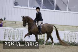 25R13_13915 thumbnail